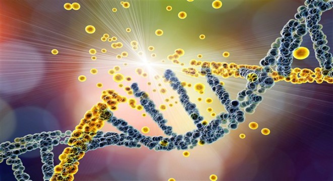 Gereksiz vitamin ve gıda takviyesi kullanımı DNA hasarına yol açabilir