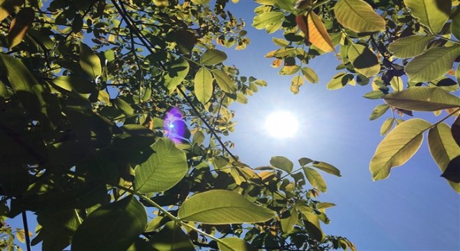 Hava sıcaklıkları mevsim normalleri civarında seyredecek