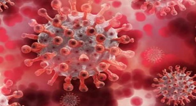 Koronavirüs salgınında ölenlerin sayısı 11 bin 059 a ulaştı