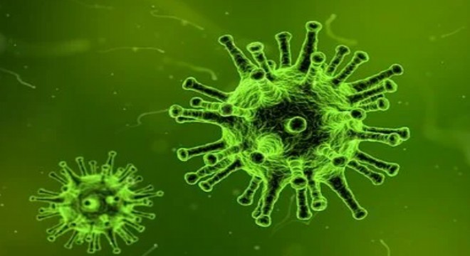 Koronavirüs salgınında ölenlerin sayısı 7 bin 315 e ulaştı