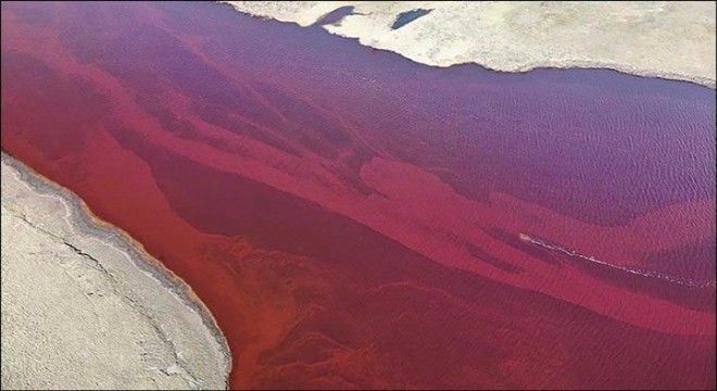 Rusya da doğa felaketi, 20 bin ton dizel nehre karıştı