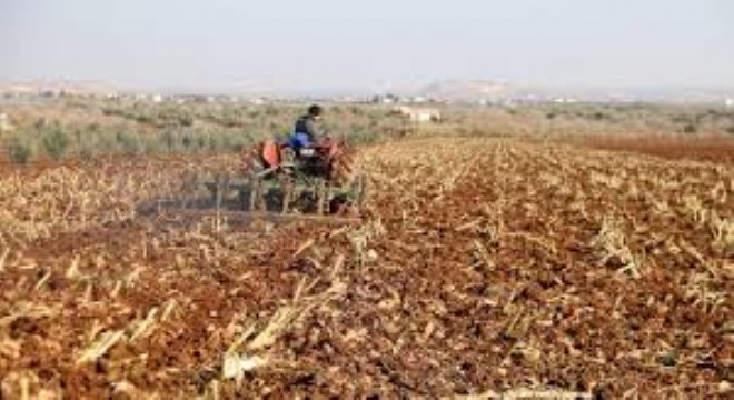 Tarımda 5,5 Milyar Liralık Destek Ödemesi Başladı