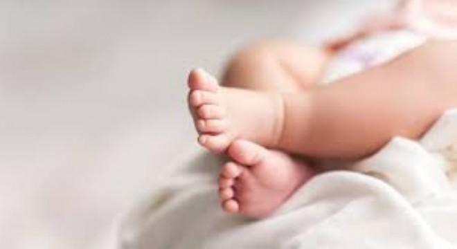 Türkiye’de Doğurganlık Hızı Düşüşte: 2025’te Ortalama 1,42 Çocuğa Geriledi