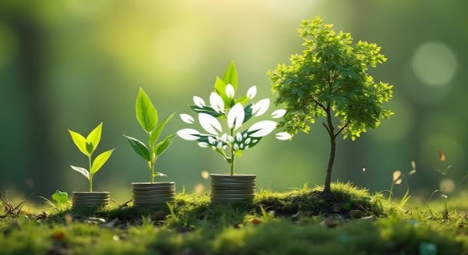 Yeşil Dönüşüm İçin Finansal Strateji Devrede