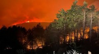 Bakanlar Çiftçi ve Yumaklı’dan Orman Yangınlarına Karşı Koordinasyon Vurgusu