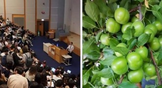 Eylülde fiyat artışında eğitim, düşüşte turunçgiller öne çıktı
