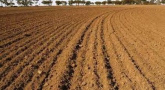 Tarım Arazileri İçin Hibe Desteği Başladı