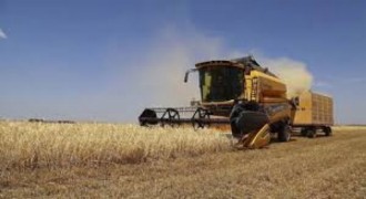 Tarım-GFE Şubatta Yıllık Yüzde 31,55 Arttı